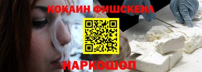 индика Камышлов