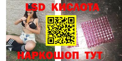 амф Кандалакша