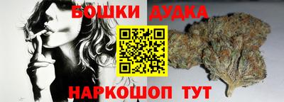 индика Камышлов