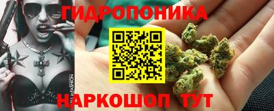 индика Камышлов
