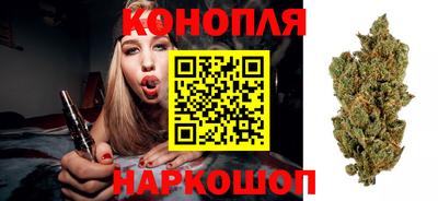 индика Камышлов