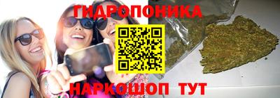 прущий лед Канаш
