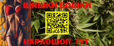 индика Камышлов