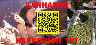 индика Камышлов