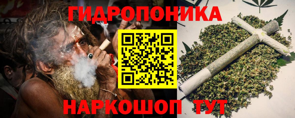 Бошки Шишки планчик Красноярск